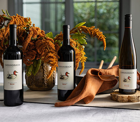 Canvasback wines on the table