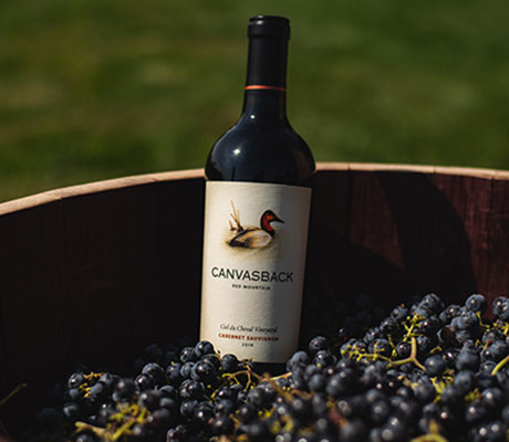 Canvasback Harvest Party
