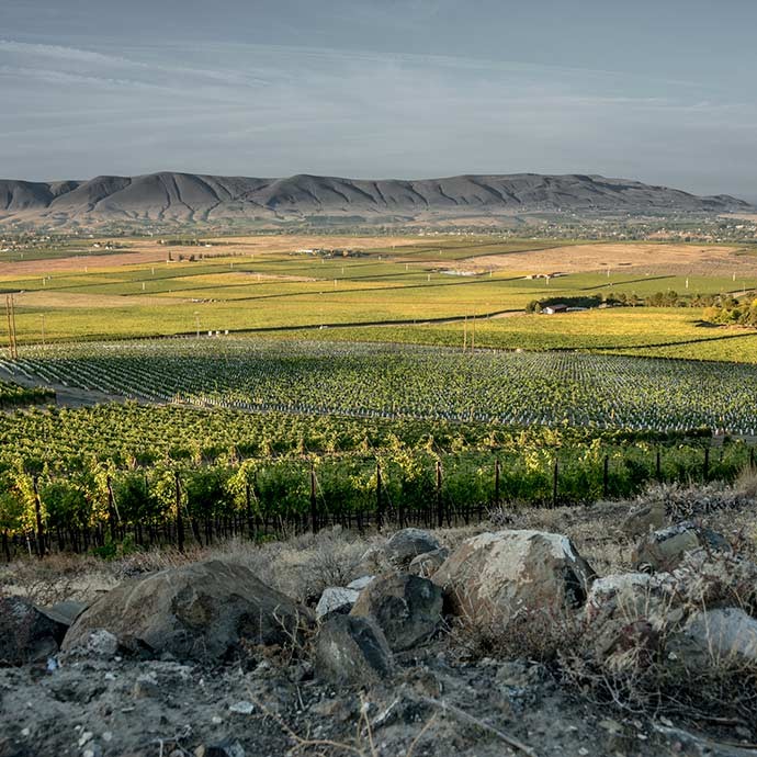 Sourcing fruit from Red Mountain vineyards