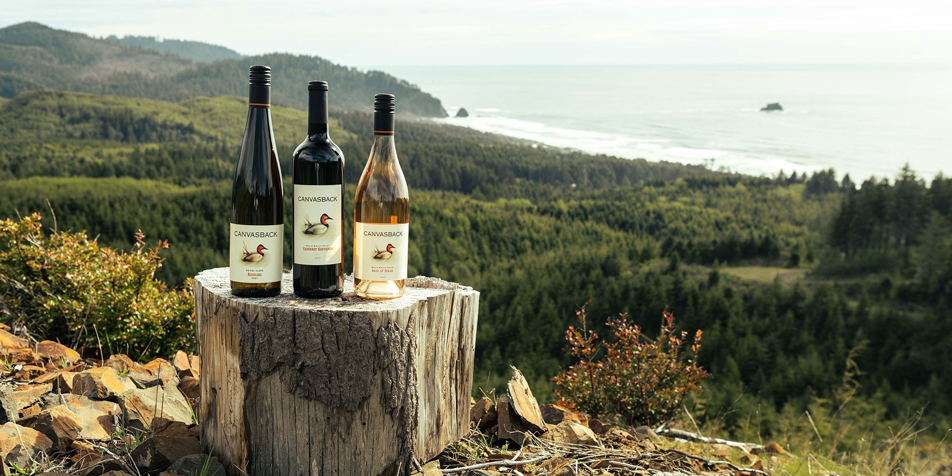 Washington State Cabernet Sauvignon | Canvasback Winery